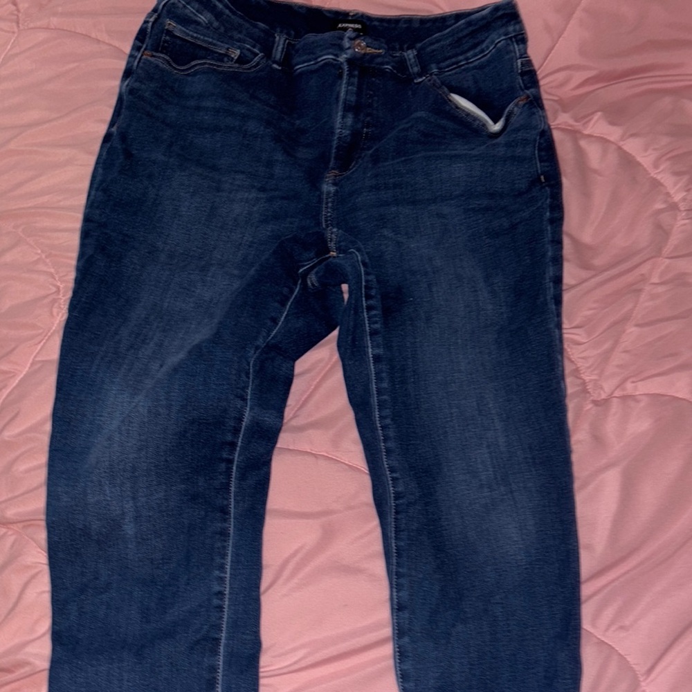 Express Blue Skinny Jeans Classic Fit